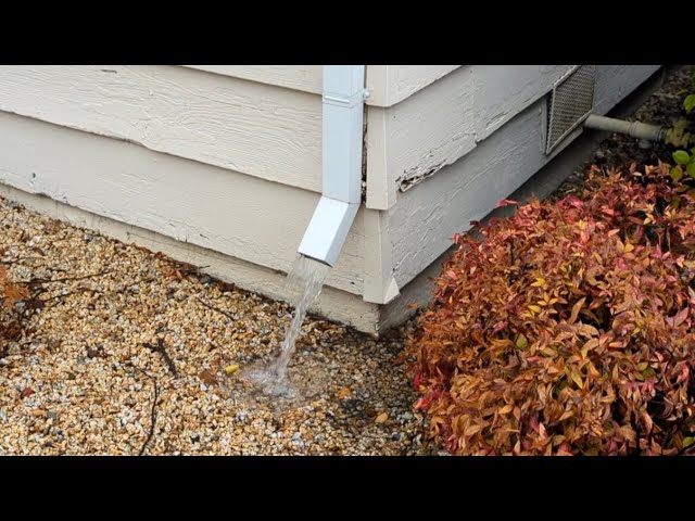 Rainwater harvesting in California - experiment!