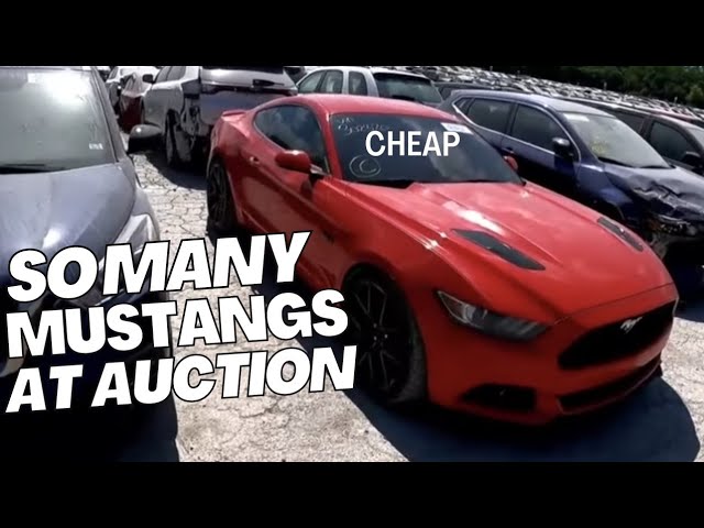 So Many Mustangs Cheap At Auction Copart Walk Around