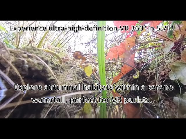 Relax TV: 5.7K 360° Autumn Waterfall Habitats for Pets | Unser Goldhof ( Ultra HD VR Version )"