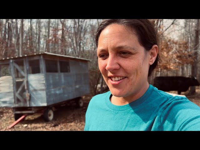 Opening Up the Fields | Homestead Vlog | February 7, 2025