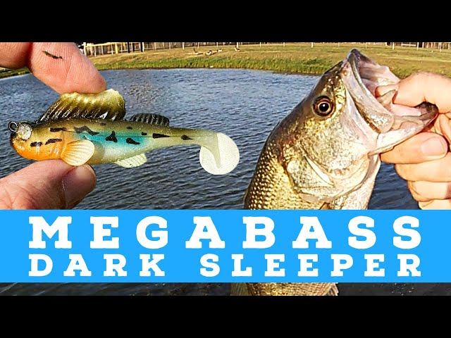 Fishing the Dark Sleeper by MegaBass 💪🏻