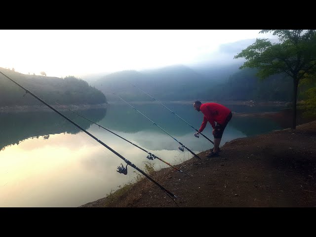 CARP FISHING THERE IS A FESTIVAL IN MENGE DAM, THE EFFECT OF AIR PRESSURE ON FISH STRIKE