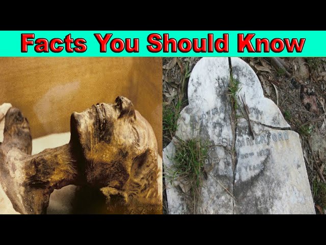 Amazing Facts You Should Know | facts world | factsdaily ||Interesting Facts