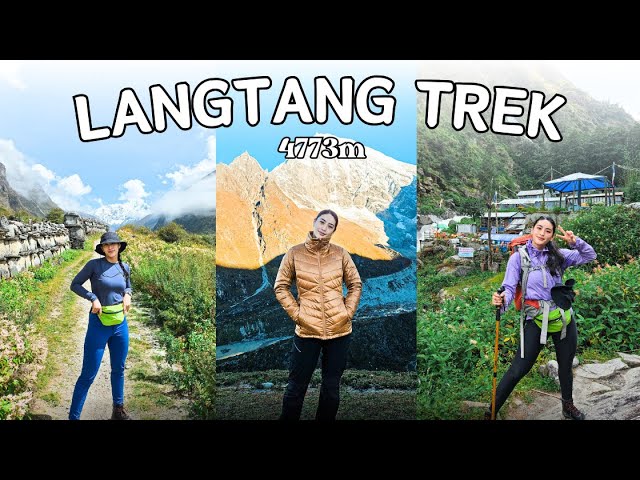 Langtang valley trek | 5 DAYS