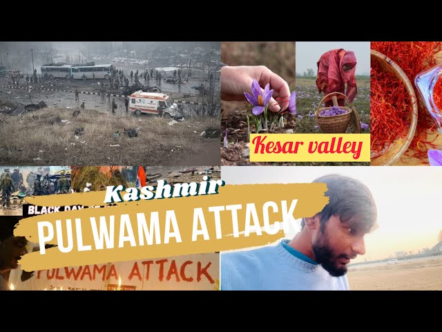 Kashmir Road Trip 🚗 | Gulmarg to Pulwama Attack Site | Soldiers’ Sacrifice 🙏 | Saffron Farming