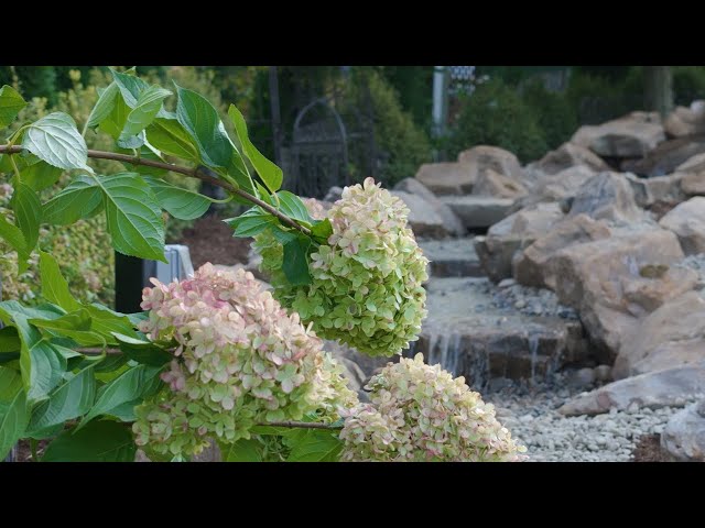 Custom Pondless Waterfall: 24-Foot Infinity Waterfall Build