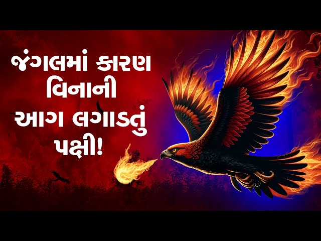 Black Kite Bird: જંગલમાં કારણ વિનાની આગ લગાડતું આ પક્ષી છે ખતરનાક, જાણો નામ અને કહાની...