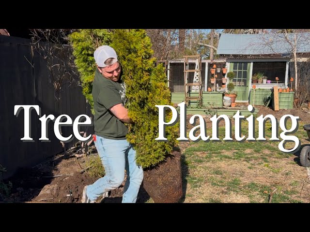 Moving The Front Trees & Garden Makeover Progress || Visit Our Garden