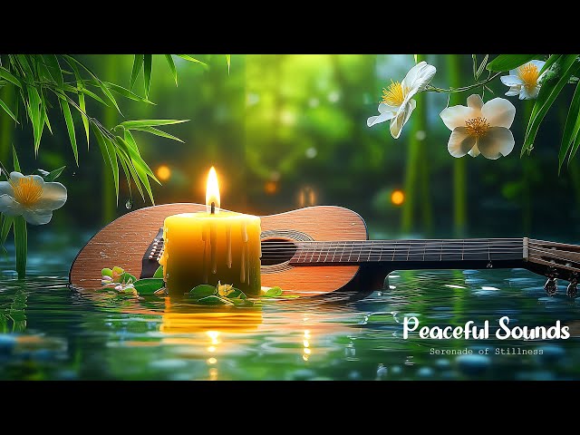 Serenade of Stillness - Peaceful Sounds (Official Video Music)