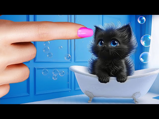 🙀🆘 Save This Tiny Cat! Secret Hacks & Gadgets for Pet Owners