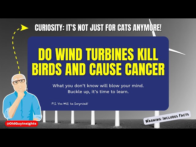 The Truth About Wind Turbines: Environmental & Health Impacts Explained | Old Guy Insights