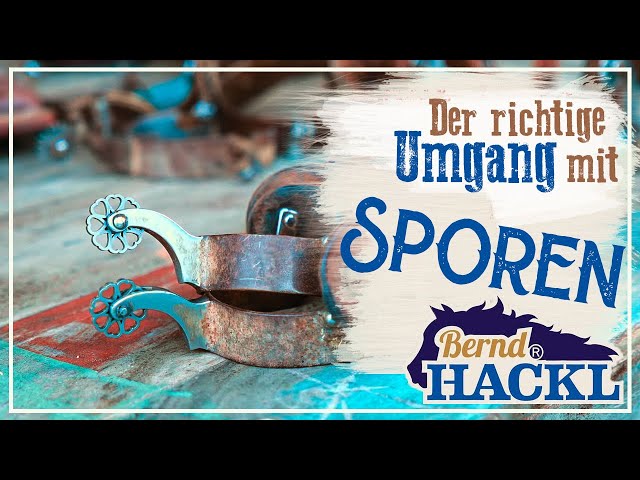 Alles Wichtige über Sporen | Bernd Hackl erklärt! 🐴