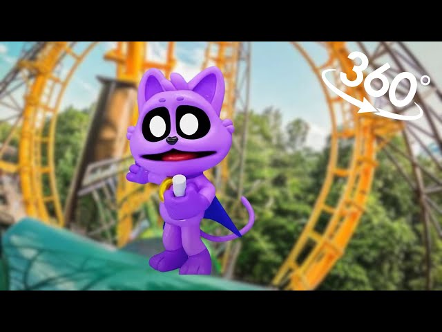 360 Roller Coaster - CATNAP & FLUMBO