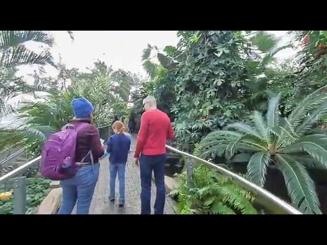 Niagara Parks Butterfly Conservatory 180 - Niagara Falls, Ontario 2020