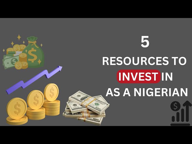 profitable RESOURCES you can INVEST in as a Nigerian....2024