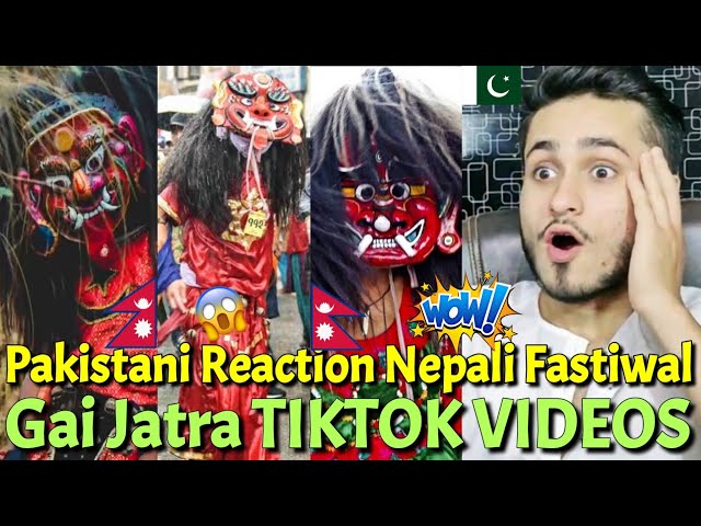 Pakistani Reaction Nepali Fastiwal Gai Jatra Lakhy TIKTOK VIDEOS | Rk ReActions