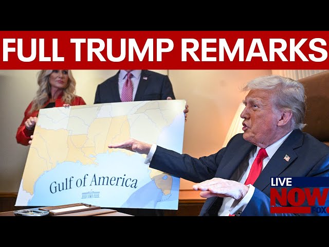 President Donald Trump on Gulf of America, Putin & tariffs |  LiveNOW from FOX