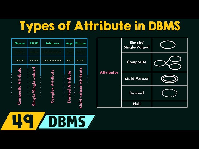 Types of Attribute in DBMS