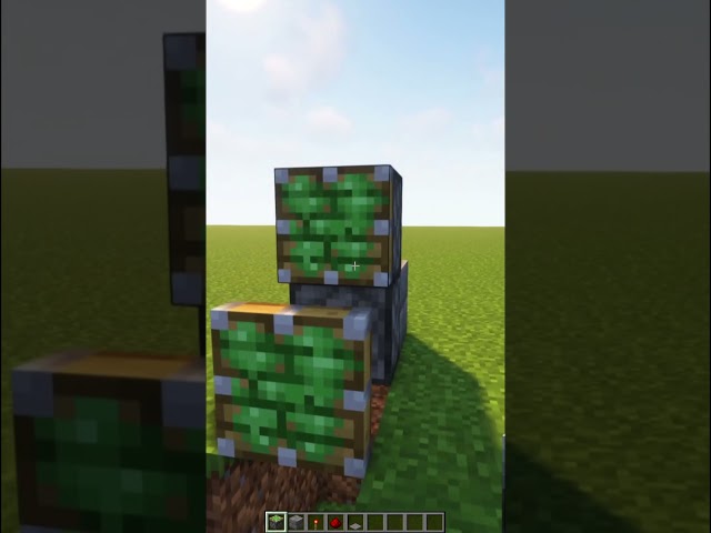 MINECRAFT SECRET DOOR! #minecraft