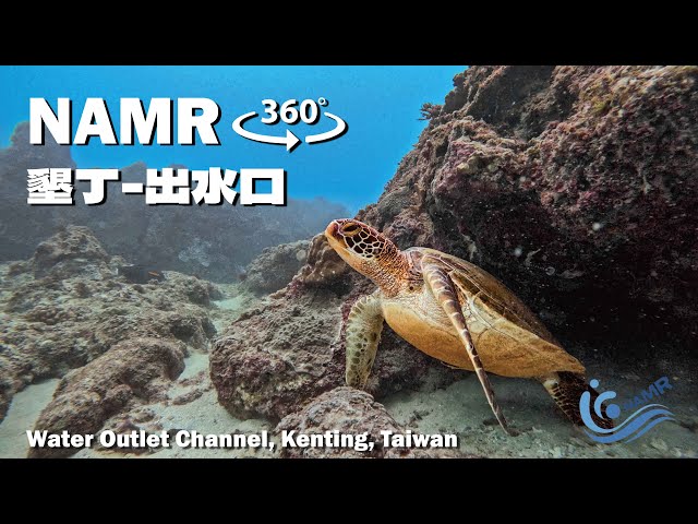 【NAMR 360°】國家海洋研究院水下環景影片-墾丁出水口 Water Outlet Channel, Kenting, Taiwan