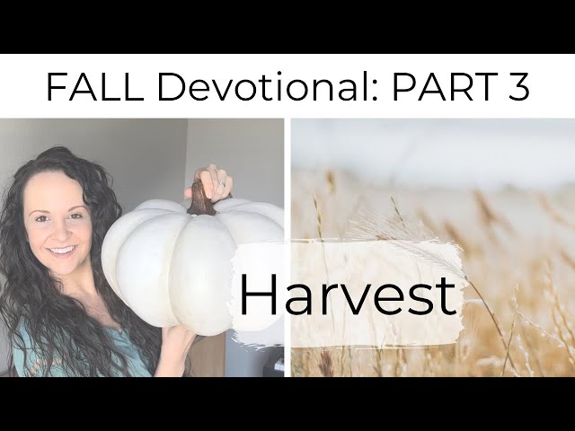 QUICK FALL DEVOTIONAL | HARVEST