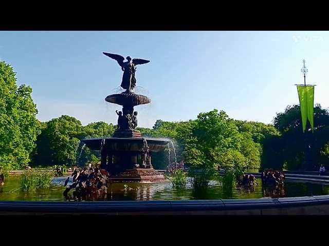 Hermoso Panorama Desde El Central Park.  New York City.