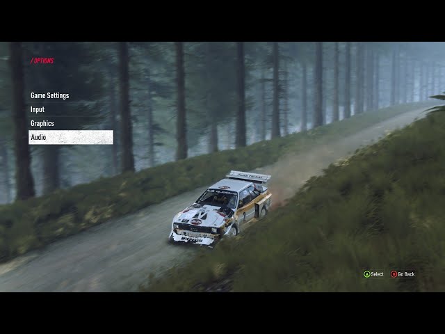 Dirt Rally 2.0 Racing