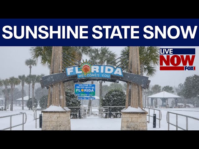 SNOW in Northwest Florida, Gainesville, Jacksonville, Tallahassee, Pensacola