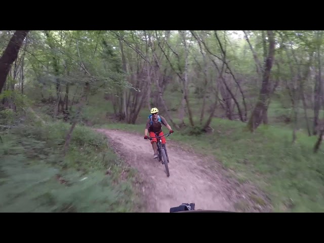 Anomalija MTB trail