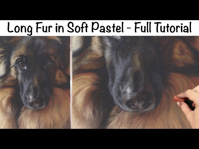 How to Paint Long Fur in Soft Pastel