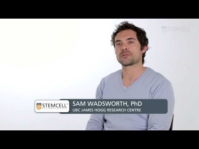 Why Use Air-Liquid Interface Cultures for Respiratory Research: Q&A with Dr. Wadsworth