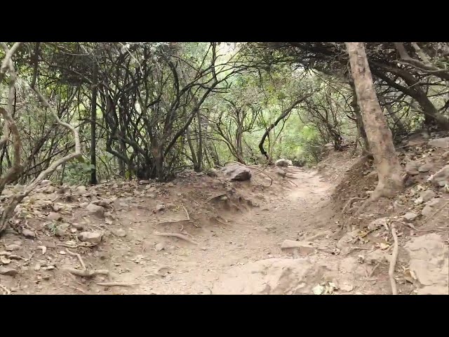 Hiking on Trail 5, Margalla Hills, Islamabad #hiking #trail5 #islamabad #pakistan #margalla #hills