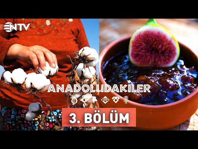 Anadoludakiler 3. Bölüm | Güney Ege | NTV