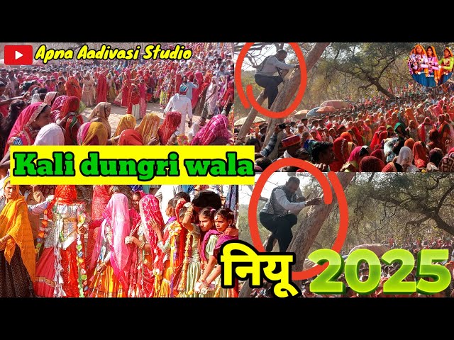 Kali dungri wala || काली डूंगरी वाला || गरहाजो नु देशी राती जगा सोंग 2025 || गरासिया संस्कृति