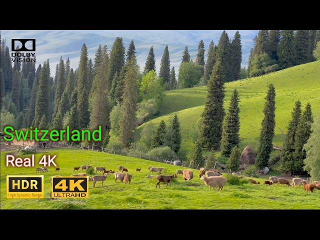 Switzerland in 4K, ULTRA HD HDR,  Heaven of Earth (120 FPS)#4k #8k #nature #travel