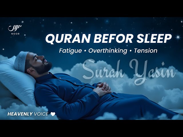 LOFI Quran • Get Instant Relief From Mental Fatigue and Overthinking ✦ NOOR