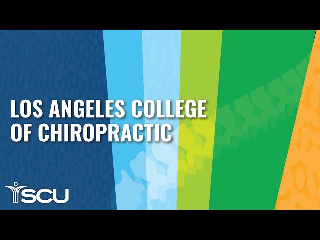 Doctor of Chiropractic Program