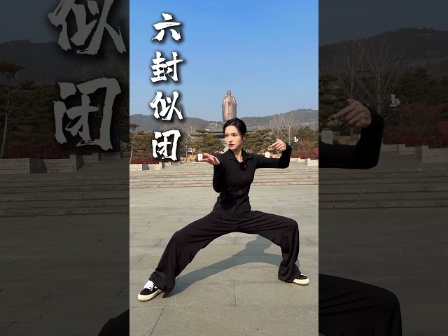 Tai Chi, classic force generating movements丨EP659