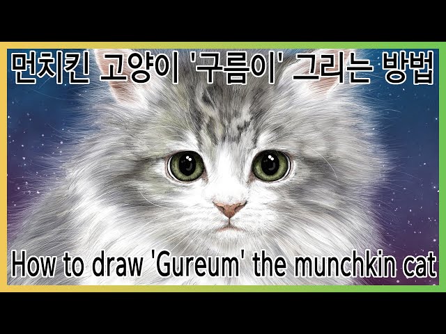 먼치킨 고양이 '구름이' 그리는 방법(How to draw 'Gureum' the munchkin cat)