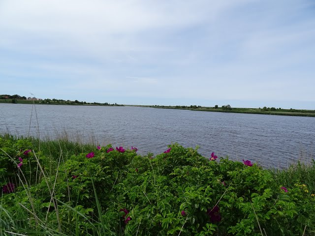 Nordsee oder Ostsee? Fazit!