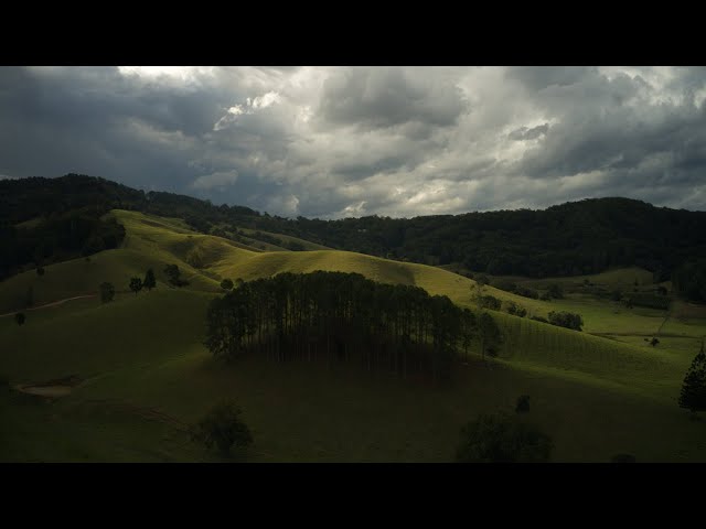 STOCK VIDEO Trees on a hill in farmland - PUSH IN shot (preview)