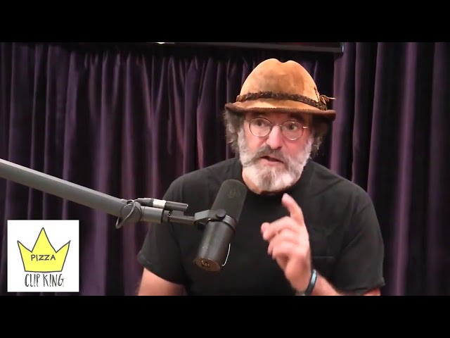 Paul Stamets telling Joe Rogan about the incredible benefits of Lions Mane mushrooms