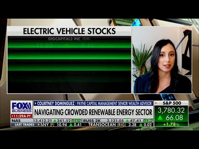 Invest in renewable energy? Courtney Dominguez appears on Charles Payne 2/1