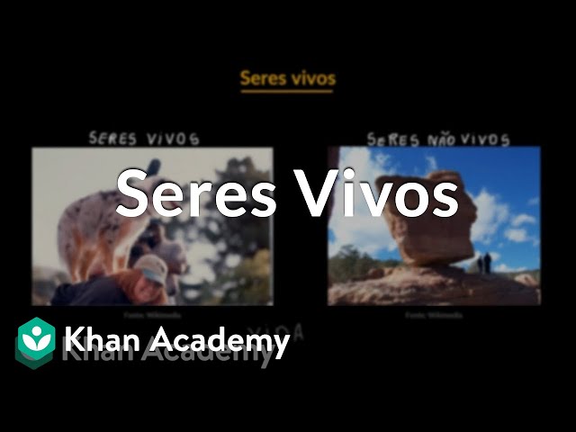 Seres vivos