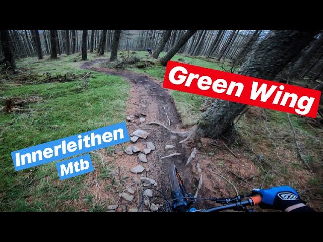 Innerleithen Mtb // Green Wing // Track Preview