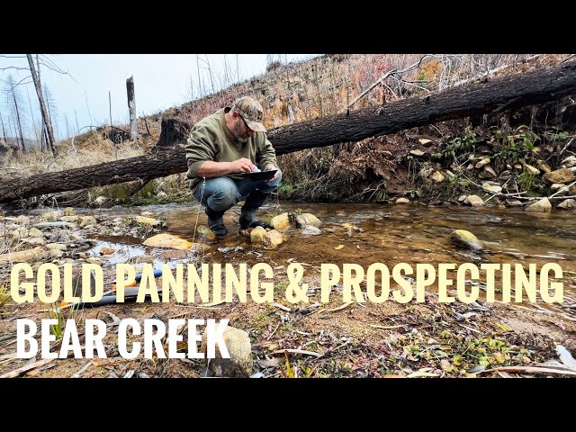 Gold Panning & Prospecting Bear Creek