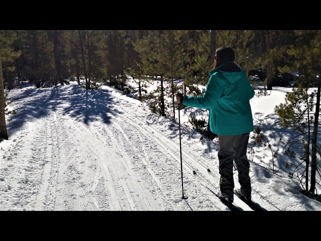 Cross Country Skiing __ VR