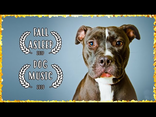 Music For Pit Bulls ~ Dog Music For Pitbull ~ Calming Music for Dogs to relax