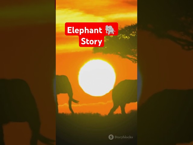 🐘🛡️ Mighty Elephants & Divine Protection: Quran Story (Surah Al-Fil) ✨ #shorts #islam #quran