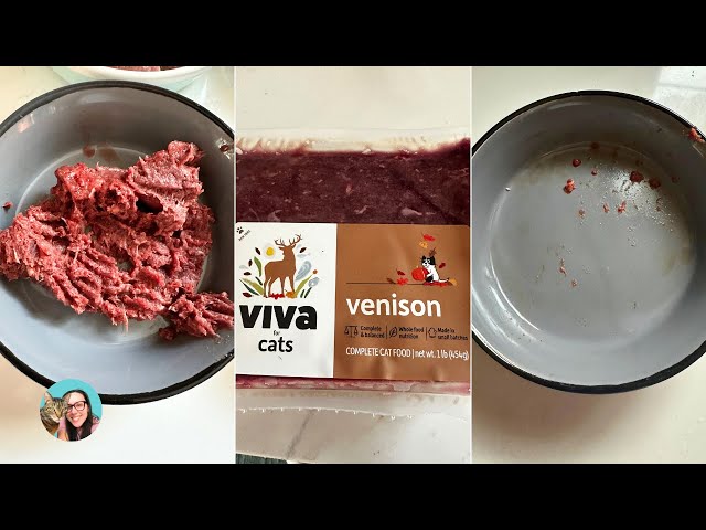 Viva Raw VENISON new protein cat food review ~ 20% off discount